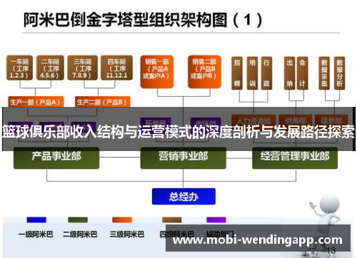 篮球俱乐部收入结构与运营模式的深度剖析与发展路径探索