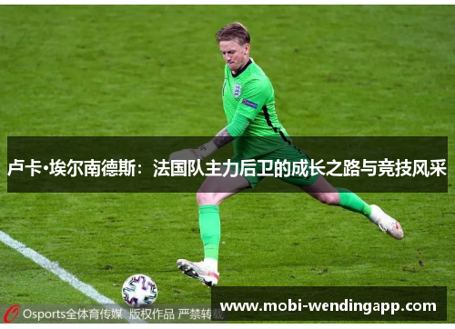 卢卡·埃尔南德斯：法国队主力后卫的成长之路与竞技风采