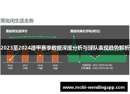 2023至2024德甲赛季数据深度分析与球队表现趋势解析