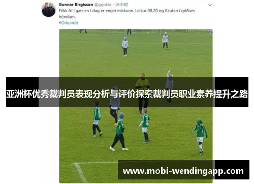 亚洲杯优秀裁判员表现分析与评价探索裁判员职业素养提升之路