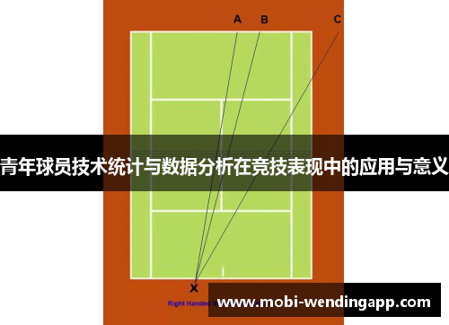 青年球员技术统计与数据分析在竞技表现中的应用与意义
