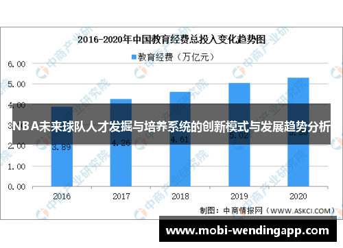 NBA未来球队人才发掘与培养系统的创新模式与发展趋势分析