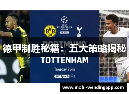 德甲制胜秘籍：五大策略揭秘