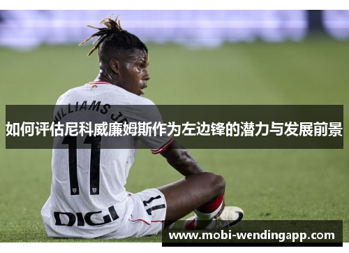 如何评估尼科威廉姆斯作为左边锋的潜力与发展前景