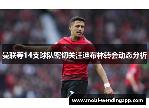 曼联等14支球队密切关注迪布林转会动态分析