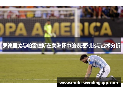 罗德里戈与帕雷德斯在美洲杯中的表现对比与战术分析