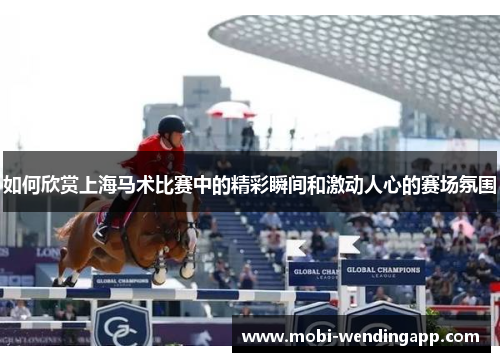 如何欣赏上海马术比赛中的精彩瞬间和激动人心的赛场氛围