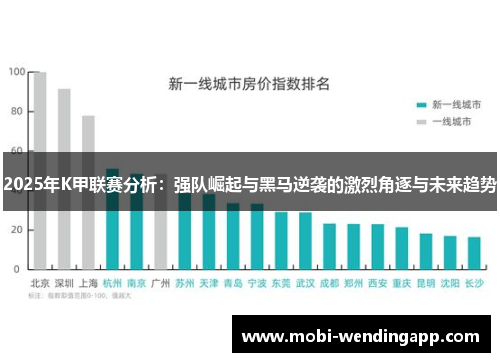 2025年K甲联赛分析：强队崛起与黑马逆袭的激烈角逐与未来趋势