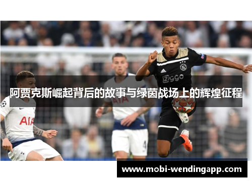 阿贾克斯崛起背后的故事与绿茵战场上的辉煌征程