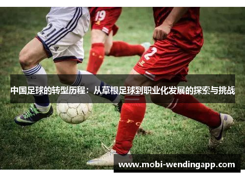 中国足球的转型历程：从草根足球到职业化发展的探索与挑战