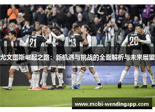 尤文图斯崛起之路：新机遇与挑战的全面解析与未来展望