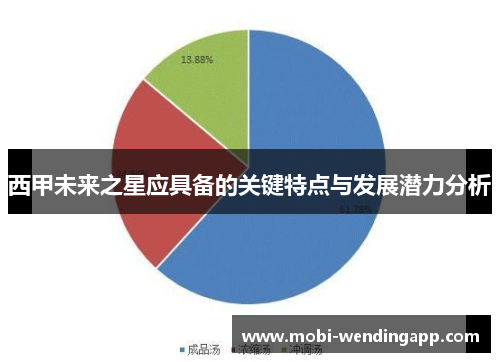 西甲未来之星应具备的关键特点与发展潜力分析