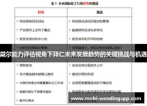 戴尔能力评估视角下拜仁未来发展趋势的关键挑战与机遇