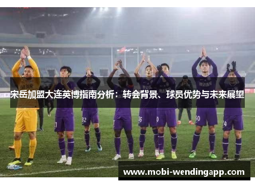 宋岳加盟大连英博指南分析：转会背景、球员优势与未来展望