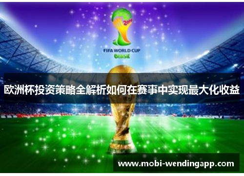 欧洲杯投资策略全解析如何在赛事中实现最大化收益