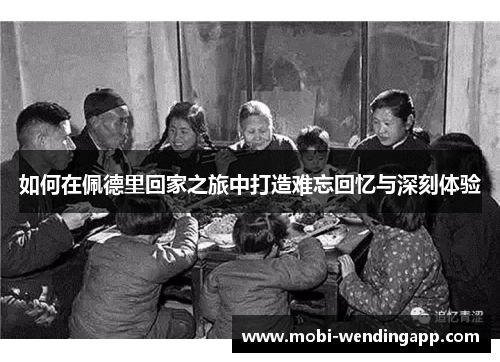如何在佩德里回家之旅中打造难忘回忆与深刻体验
