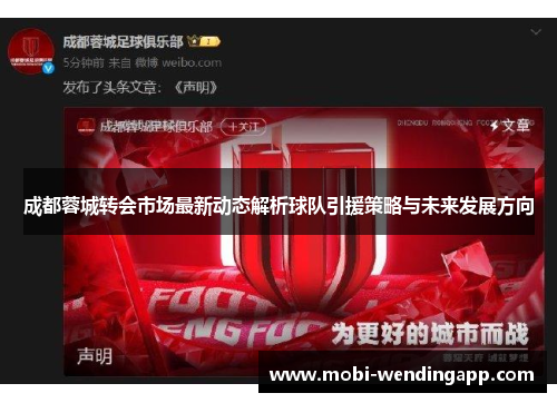 成都蓉城转会市场最新动态解析球队引援策略与未来发展方向