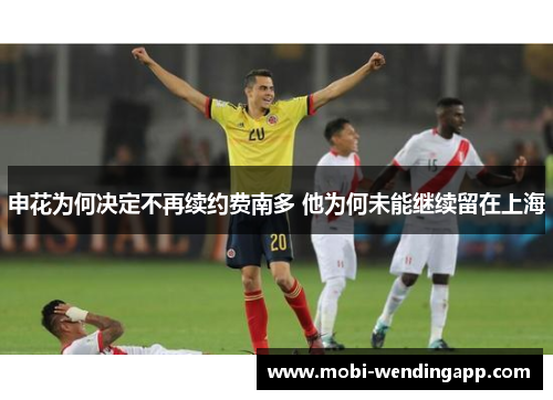 申花为何决定不再续约费南多 他为何未能继续留在上海