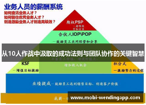 从10人作战中汲取的成功法则与团队协作的关键智慧
