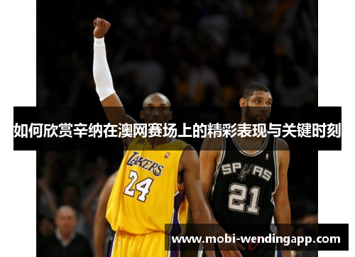 如何欣赏辛纳在澳网赛场上的精彩表现与关键时刻