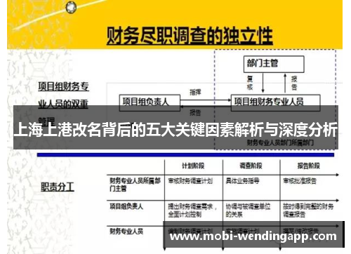 上海上港改名背后的五大关键因素解析与深度分析