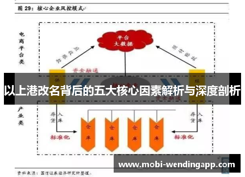 以上港改名背后的五大核心因素解析与深度剖析
