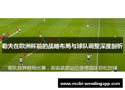 勒夫在欧洲杯前的战略布局与球队调整深度剖析