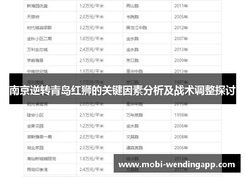 南京逆转青岛红狮的关键因素分析及战术调整探讨