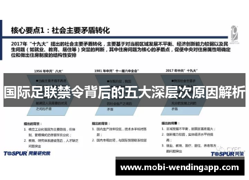 国际足联禁令背后的五大深层次原因解析