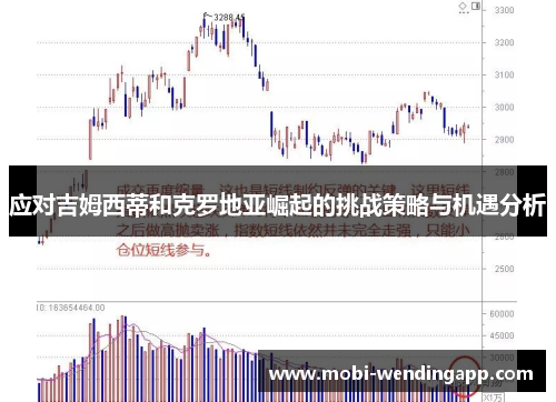 应对吉姆西蒂和克罗地亚崛起的挑战策略与机遇分析