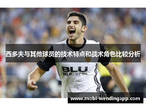 西多夫与其他球员的技术特点和战术角色比较分析