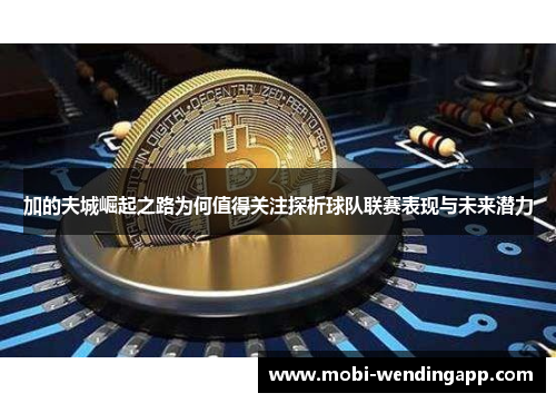 加的夫城崛起之路为何值得关注探析球队联赛表现与未来潜力