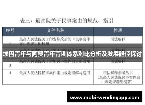 埃因青年与阿贾青年青训体系对比分析及发展路径探讨