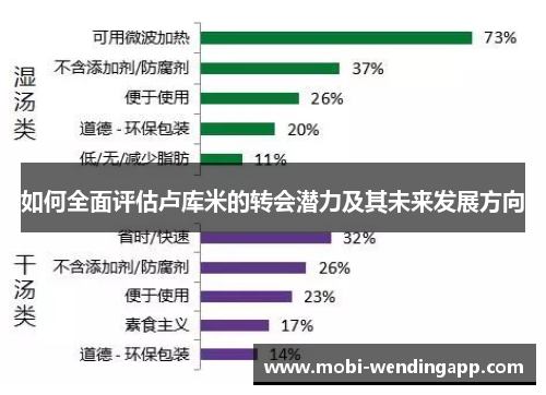 如何全面评估卢库米的转会潜力及其未来发展方向