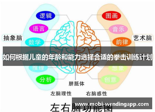 如何根据儿童的年龄和能力选择合适的拳击训练计划