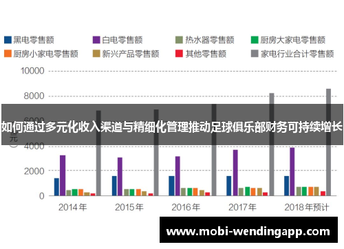 如何通过多元化收入渠道与精细化管理推动足球俱乐部财务可持续增长