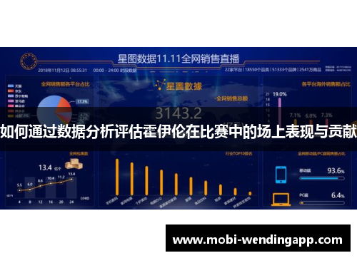 如何通过数据分析评估霍伊伦在比赛中的场上表现与贡献
