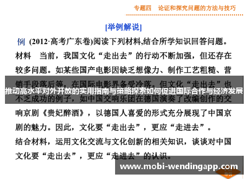 推动高水平对外开放的实用指南与策略探索如何促进国际合作与经济发展 推动高水平对外开放的实用指南与策略探索如何促进国际合作与经济发展